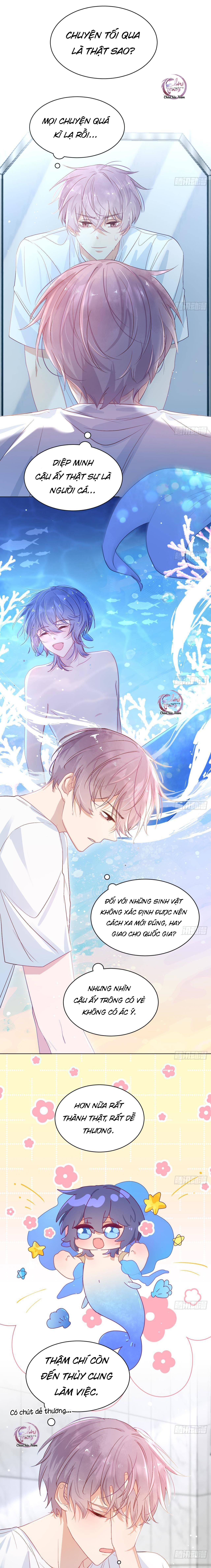 Đuôi Nè, Sờ Hông?: Chapter 4