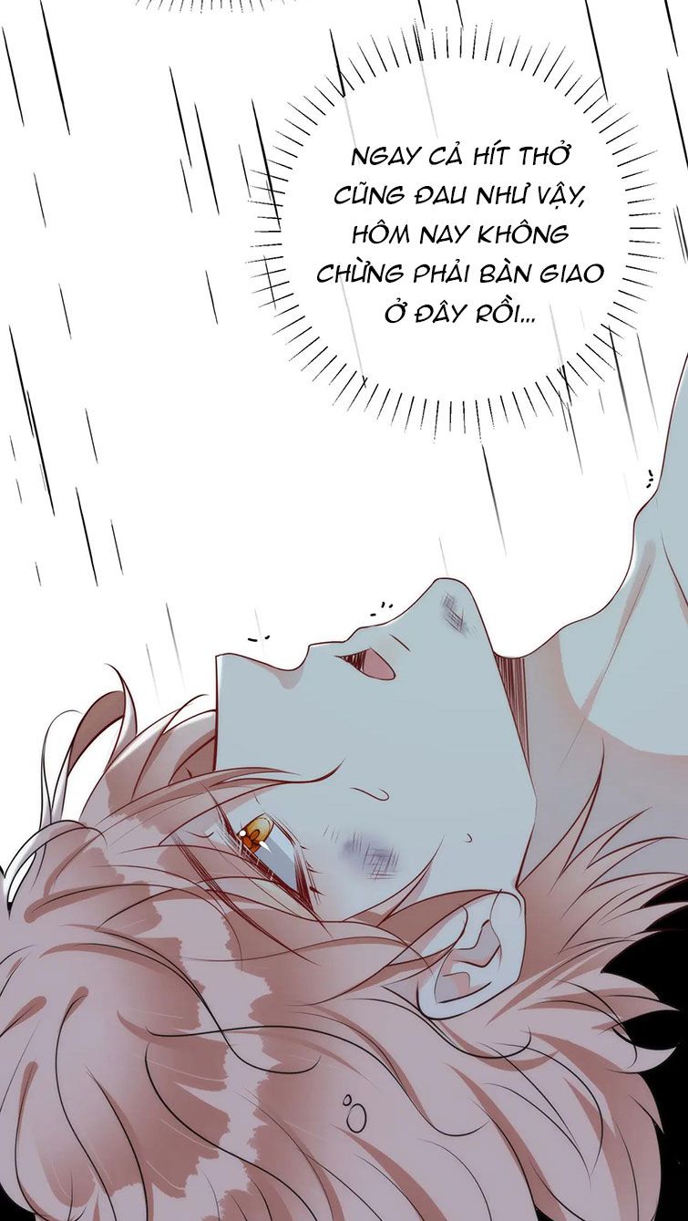 Kế Hoạch Tẩy Trắng Hắc Nguyệt Quang: Chapter 27