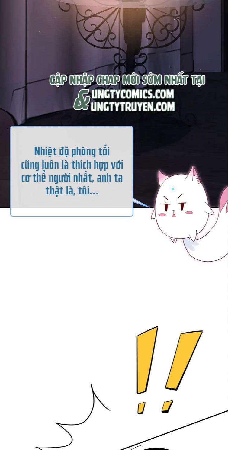 Kế Hoạch Tẩy Trắng Hắc Nguyệt Quang: Chapter 37