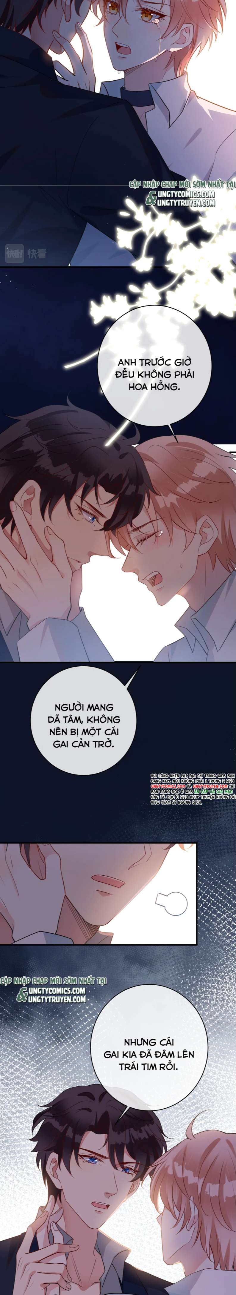 Kế Hoạch Tẩy Trắng Hắc Nguyệt Quang: Chapter 38