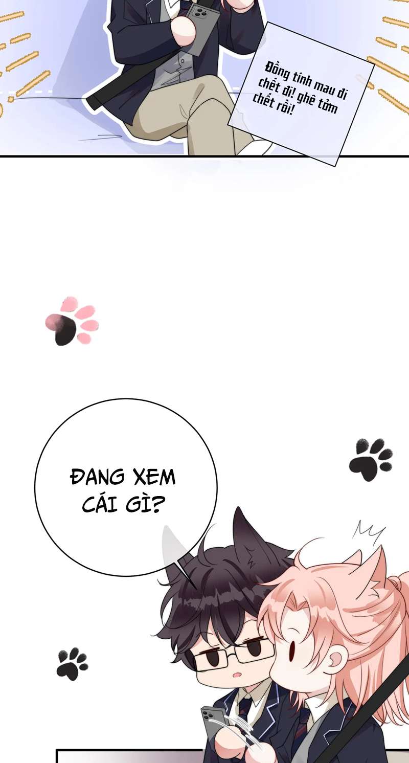 Kế Hoạch Tẩy Trắng Hắc Nguyệt Quang: Chapter 64