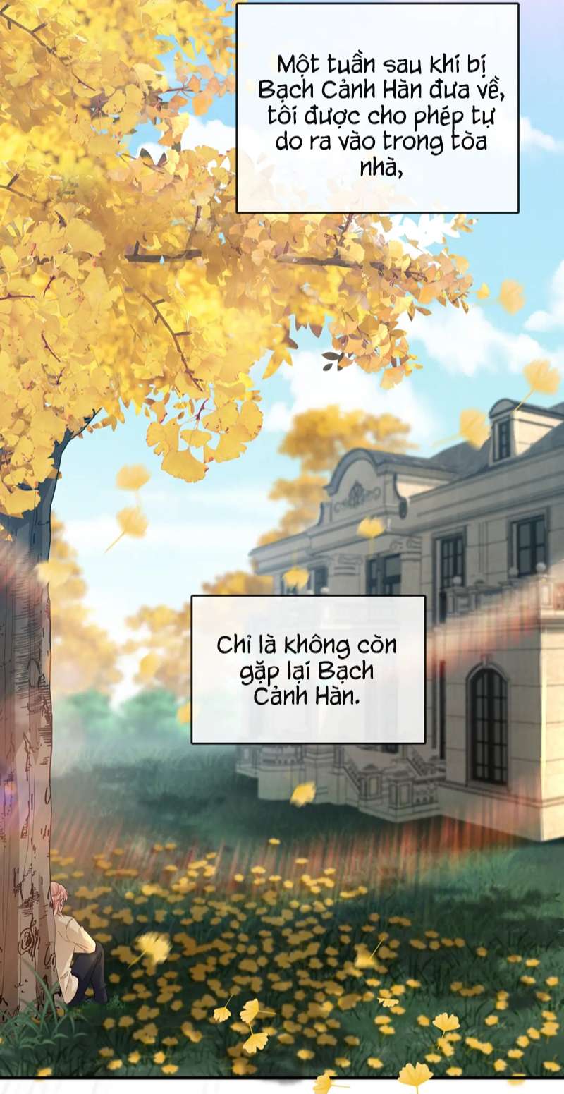 Kế Hoạch Tẩy Trắng Hắc Nguyệt Quang: Chapter 70