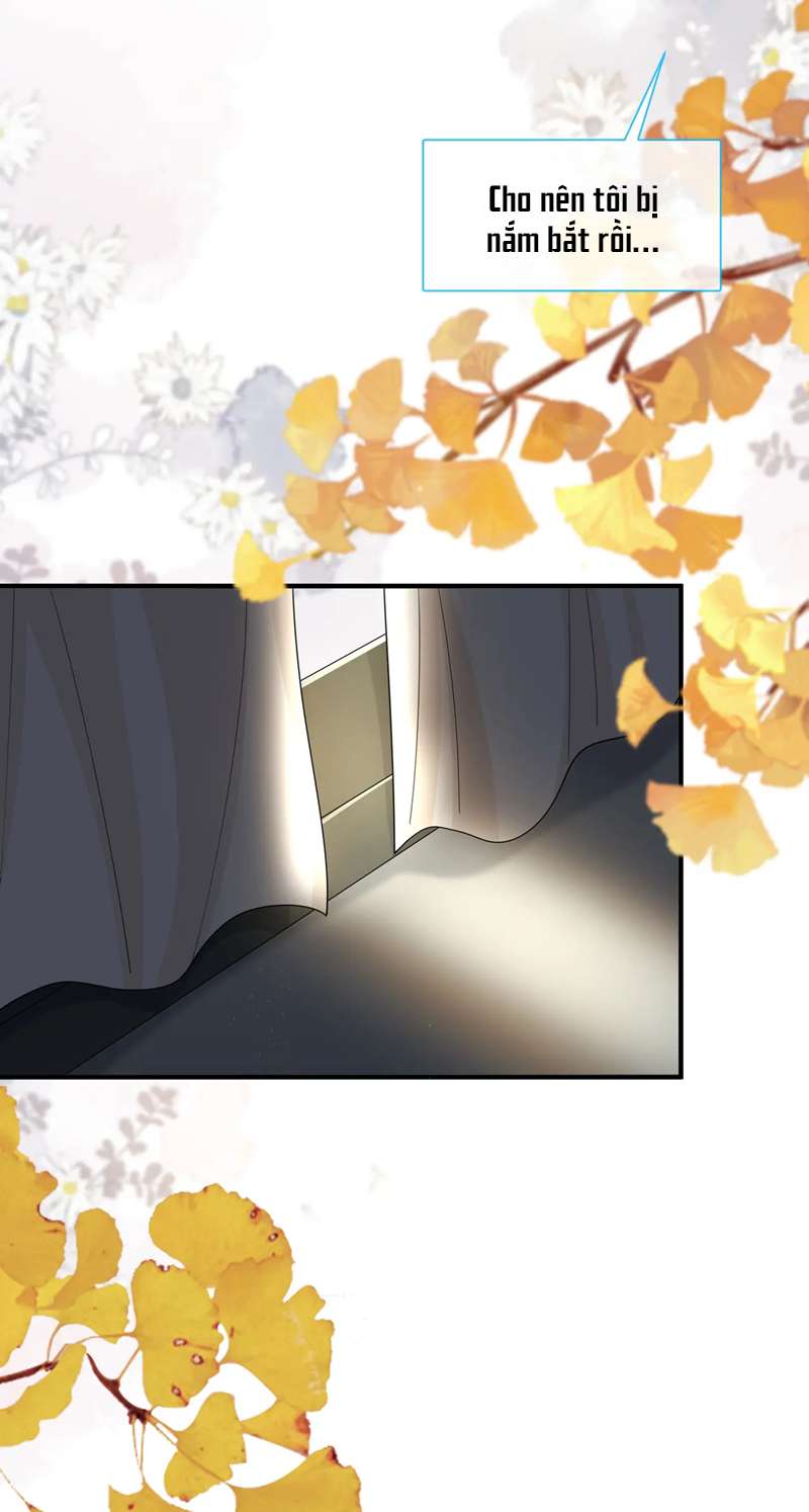 Kế Hoạch Tẩy Trắng Hắc Nguyệt Quang: Chapter 70