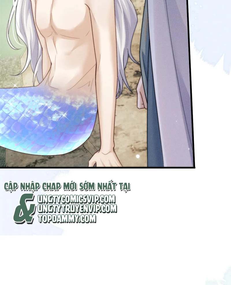 Ma Tôn Hối Bất Đương Sơ: Chapter 63