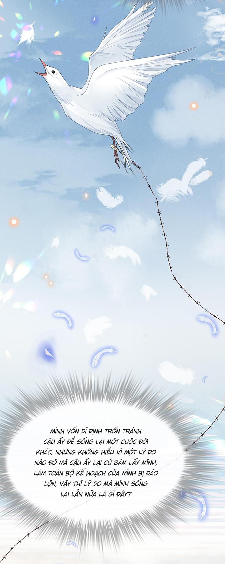 Lai Sinh Bất Kiến: Chapter 39