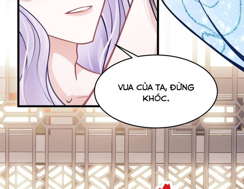Tôi Hoài Nghi Ảnh Đế Đang Theo Đuổi Tôi: Chapter 6