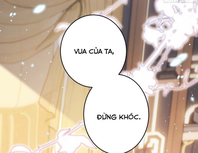 Tôi Hoài Nghi Ảnh Đế Đang Theo Đuổi Tôi: Chapter 6