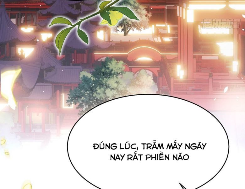 Tôi Hoài Nghi Ảnh Đế Đang Theo Đuổi Tôi: Chapter 6
