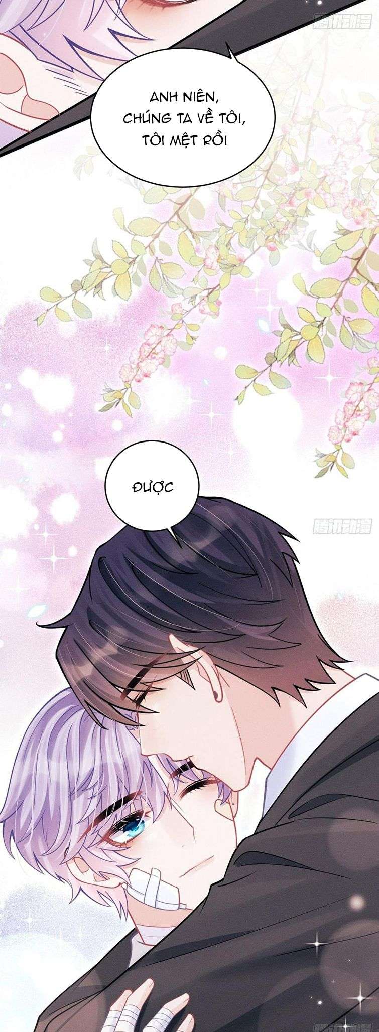 Tôi Hoài Nghi Ảnh Đế Đang Theo Đuổi Tôi: Chapter 85