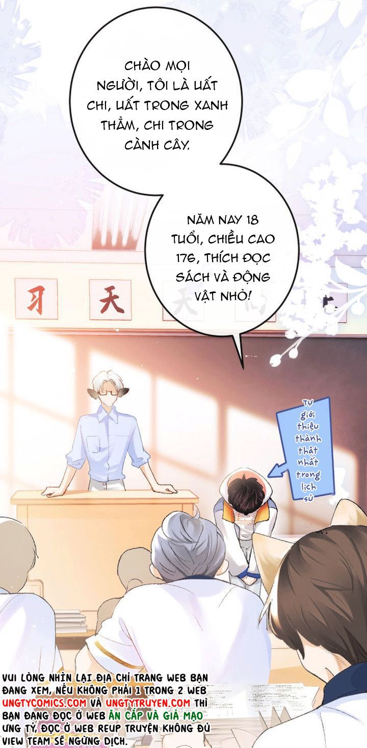 Giáo Bá Cửu Vĩ Hồ Theo Dõi Ta Lúc Sau: Chapter 2