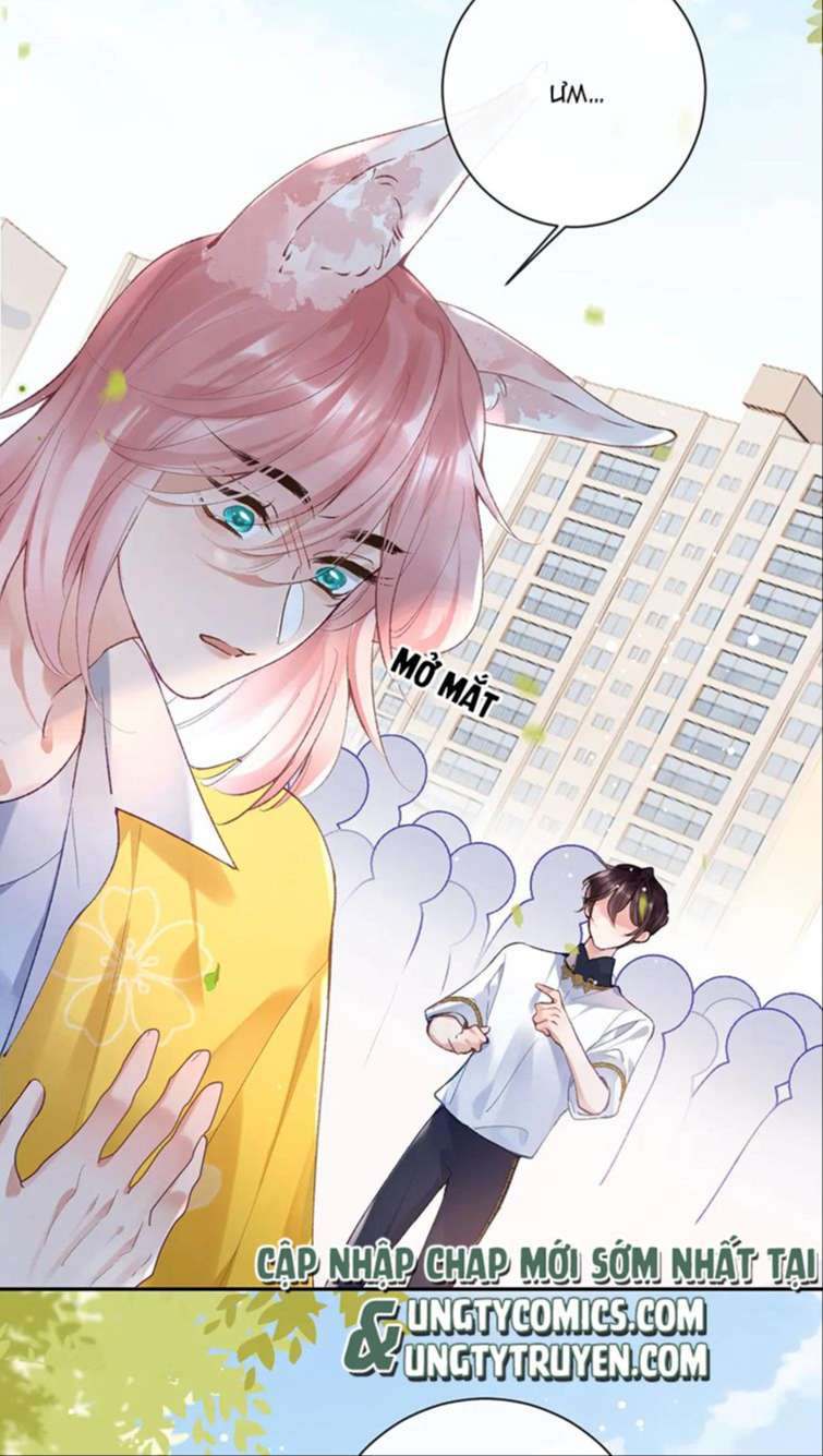 Giáo Bá Cửu Vĩ Hồ Theo Dõi Ta Lúc Sau: Chapter 28