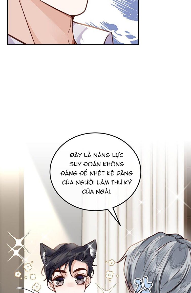 Tổng Tài Định Chế Tư Nhân: Chapter 19