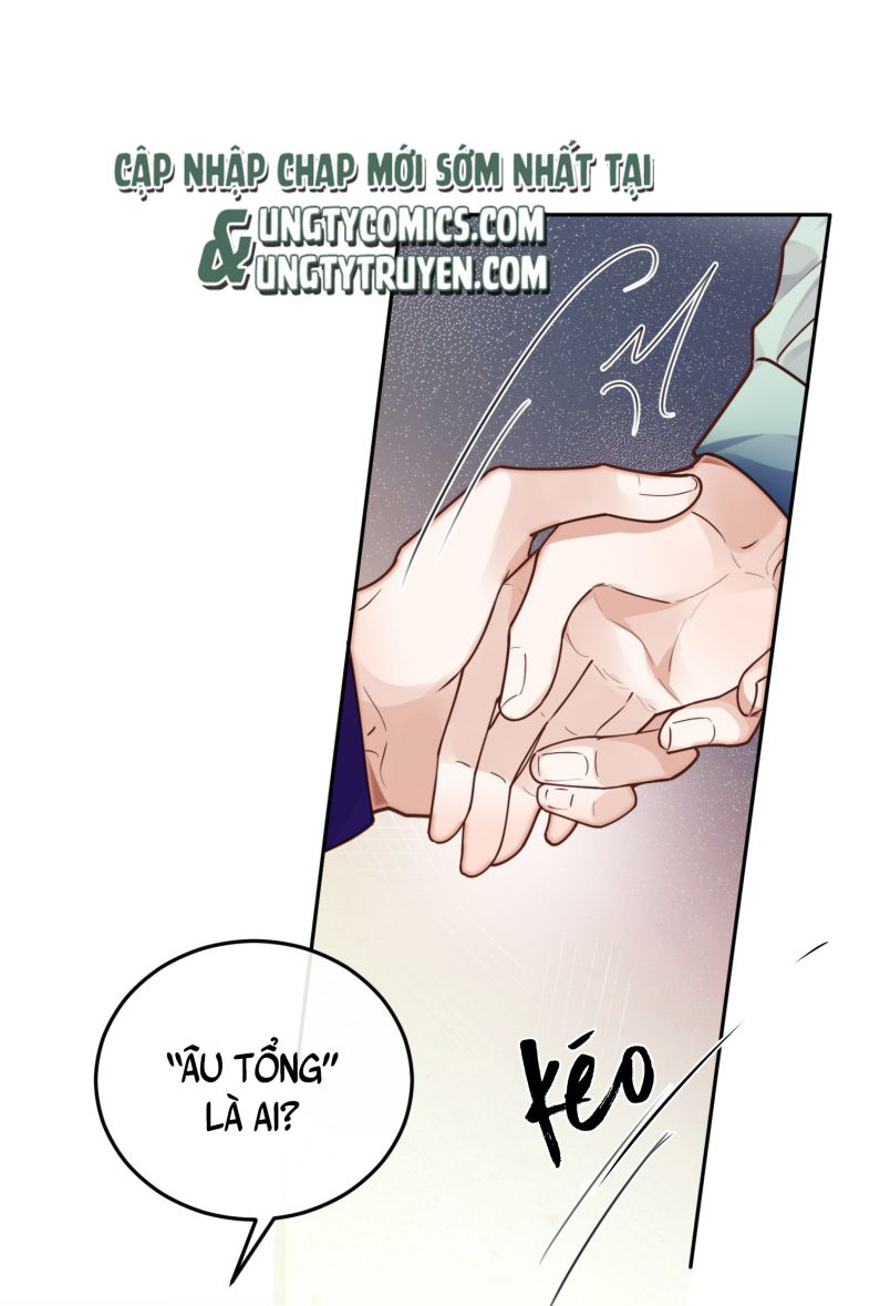 Tổng Tài Định Chế Tư Nhân: Chapter 20