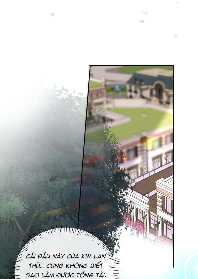 Tổng Tài Định Chế Tư Nhân: Chapter 27