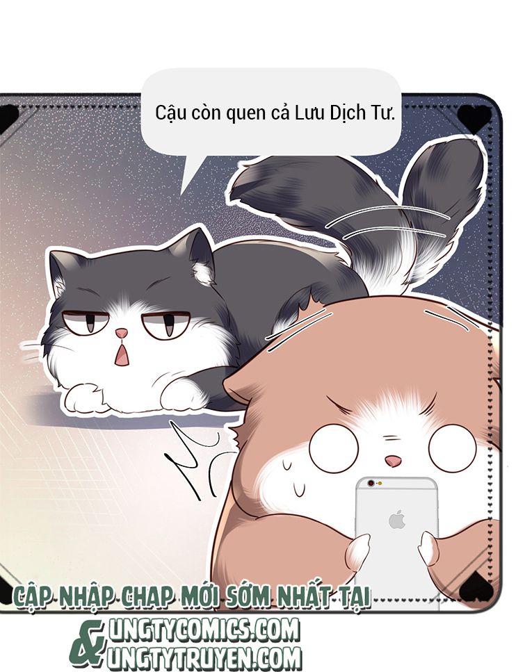 Tổng Tài Định Chế Tư Nhân: Chapter 27