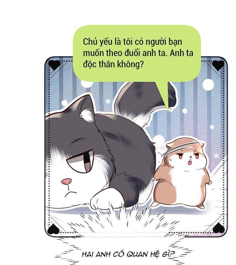 Tổng Tài Định Chế Tư Nhân: Chapter 27