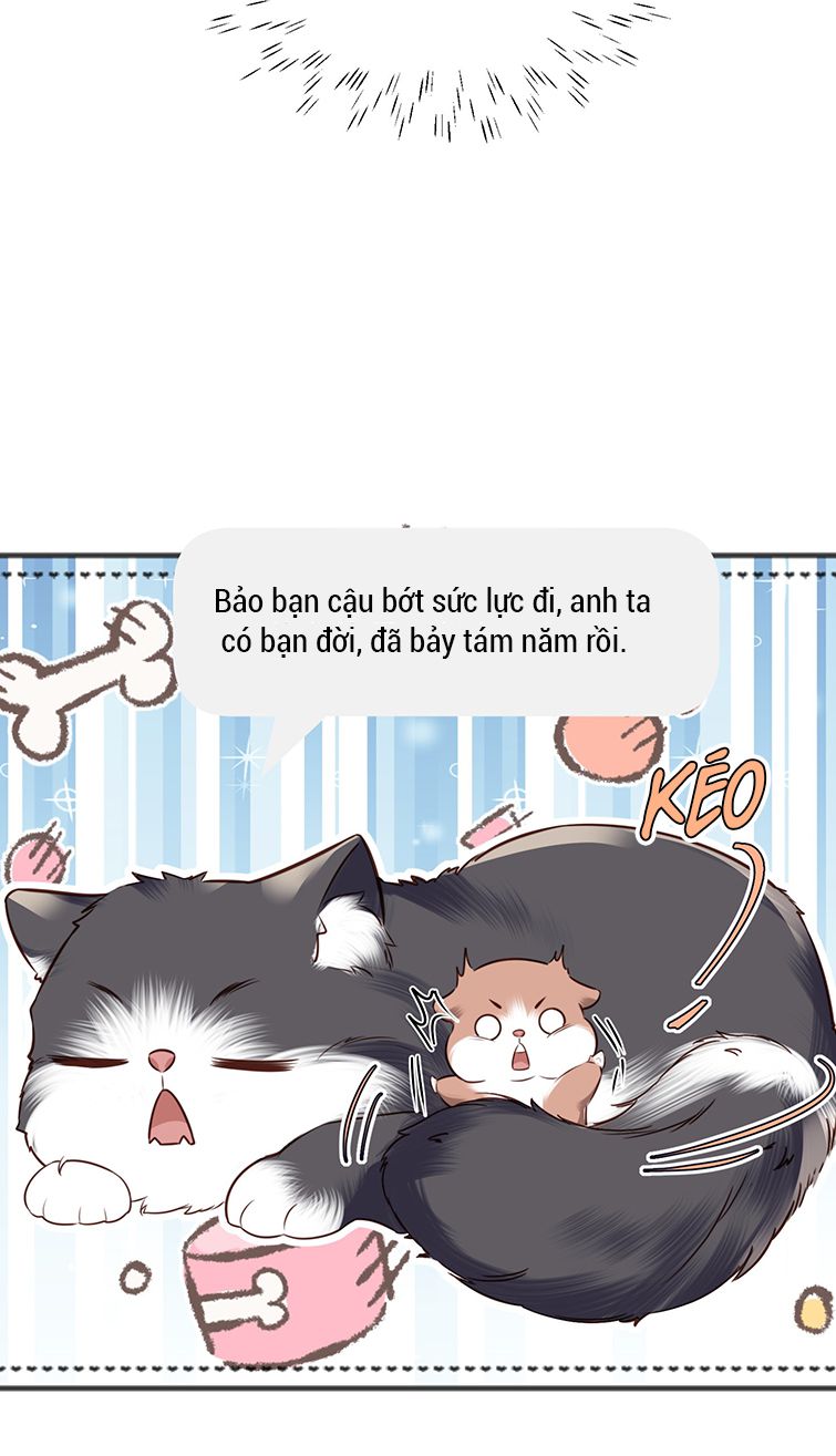 Tổng Tài Định Chế Tư Nhân: Chapter 27