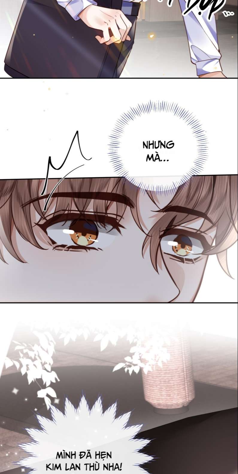 Tổng Tài Định Chế Tư Nhân: Chapter 35