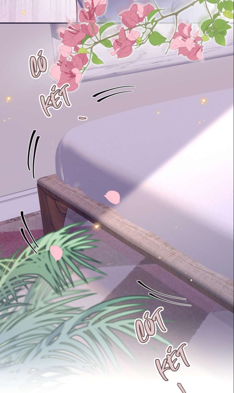 Tổng Tài Định Chế Tư Nhân: Chapter 36