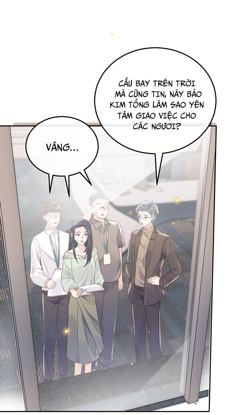 Tổng Tài Định Chế Tư Nhân: Chapter 45
