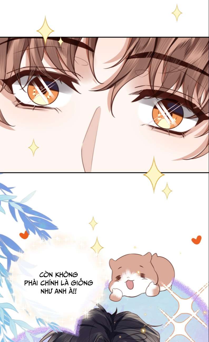 Tổng Tài Định Chế Tư Nhân: Chapter 57