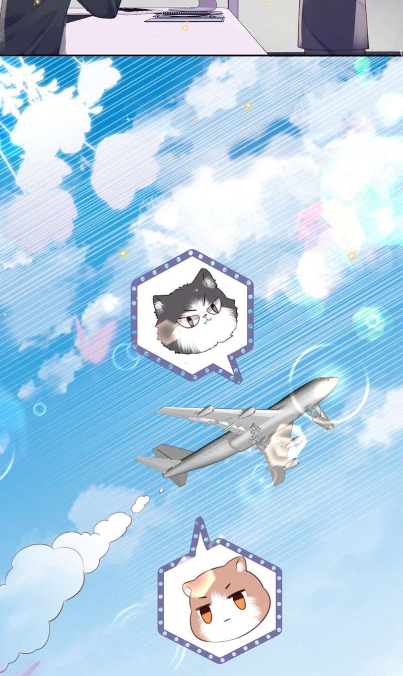 Tổng Tài Định Chế Tư Nhân: Chapter 58