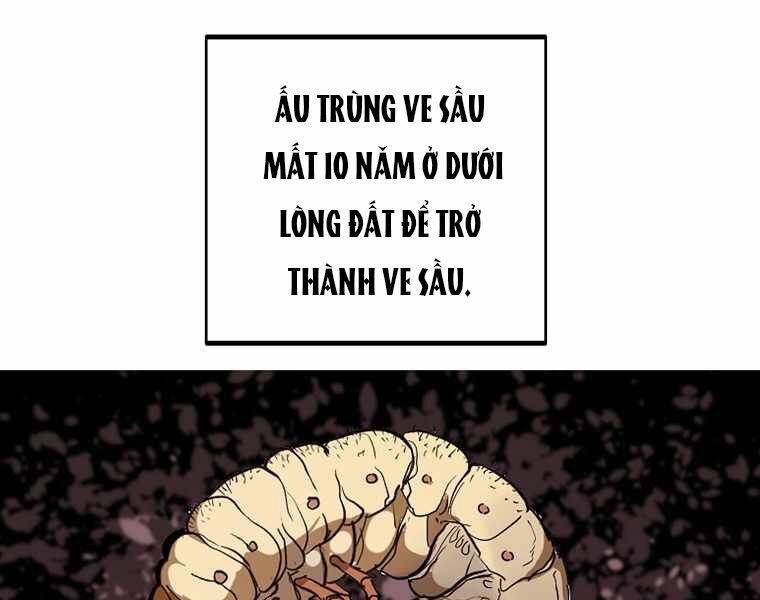 Hồi Quy Trở Lại Thành Kẻ Vô Dụng: Chương 17