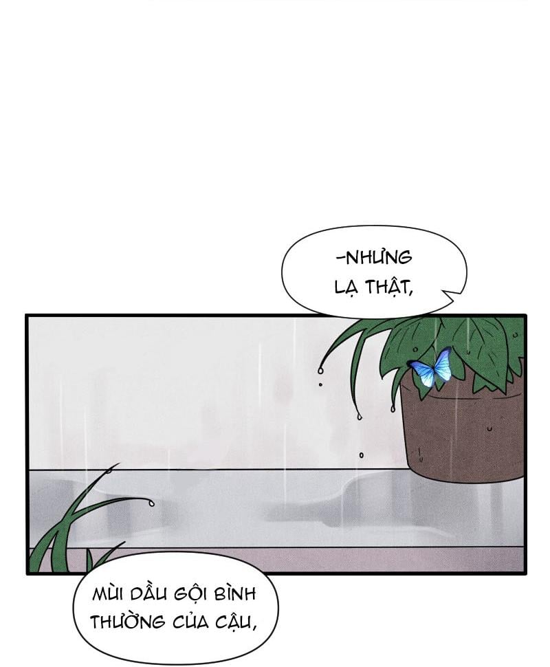 Truyện Ngôn Nhưng Không Ngôn Lắm: Chapter 58