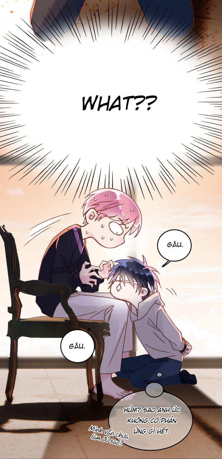 Tôi Phải Làm 1 Kẻ Đại Xấu Xa: Chapter 11