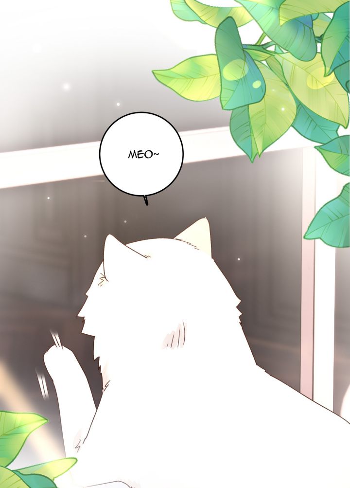 Tôi Phải Làm 1 Kẻ Đại Xấu Xa: Chapter 15