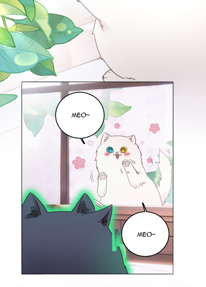 Tôi Phải Làm 1 Kẻ Đại Xấu Xa: Chapter 15