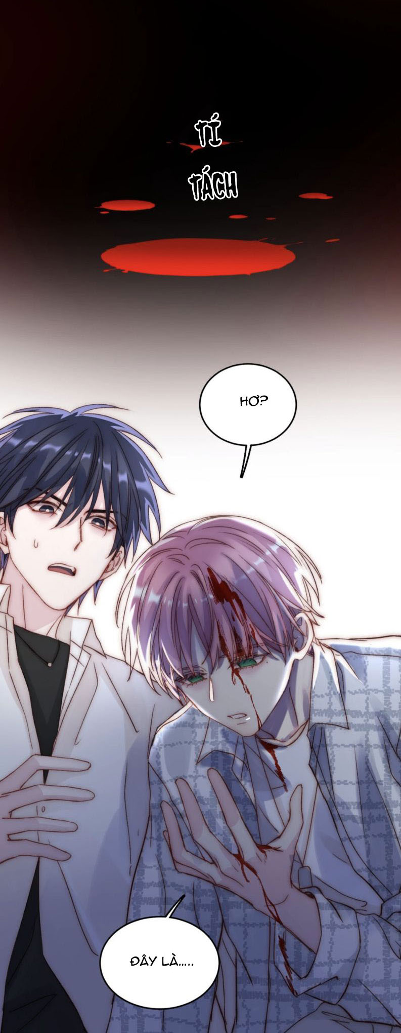 Tôi Phải Làm 1 Kẻ Đại Xấu Xa: Chapter 27.5