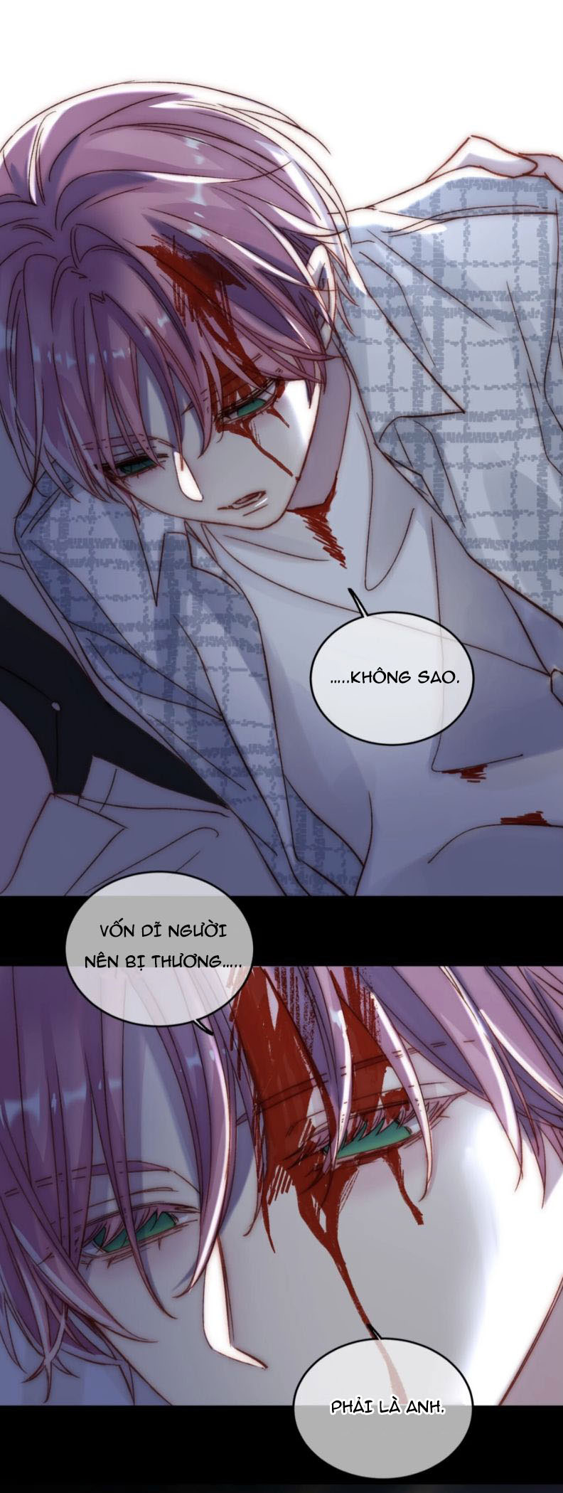 Tôi Phải Làm 1 Kẻ Đại Xấu Xa: Chapter 27.5