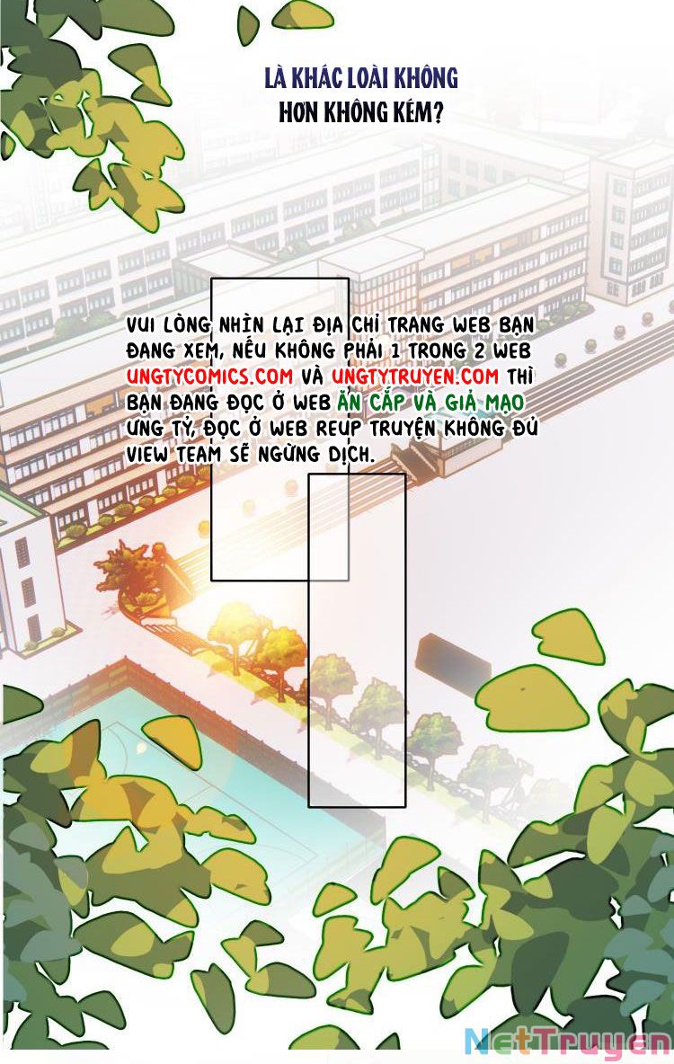 Tôi Phải Làm 1 Kẻ Đại Xấu Xa: Chapter 33