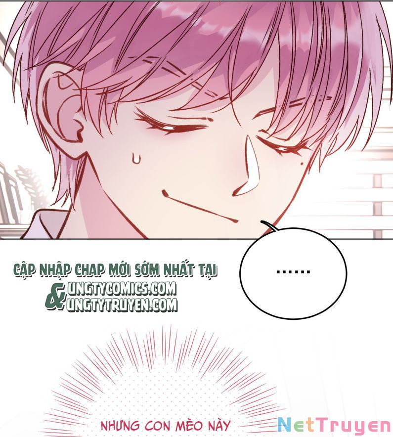 Tôi Phải Làm 1 Kẻ Đại Xấu Xa: Chapter 33