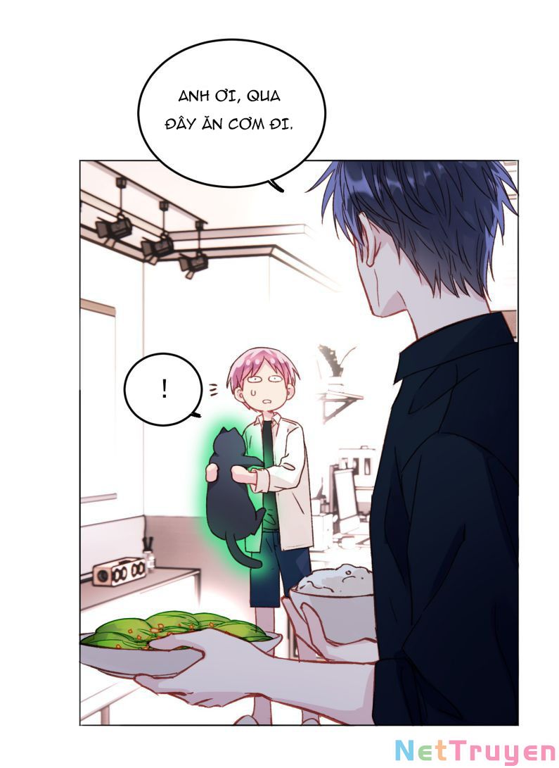 Tôi Phải Làm 1 Kẻ Đại Xấu Xa: Chapter 33