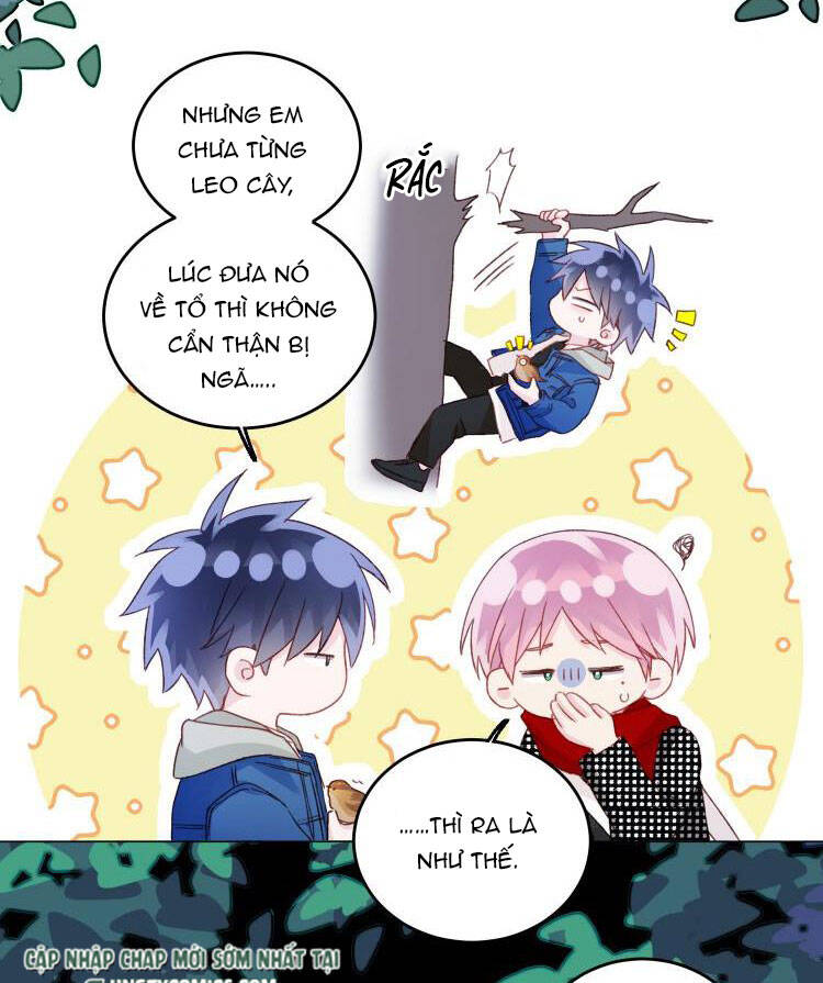 Tôi Phải Làm 1 Kẻ Đại Xấu Xa: Chapter 43