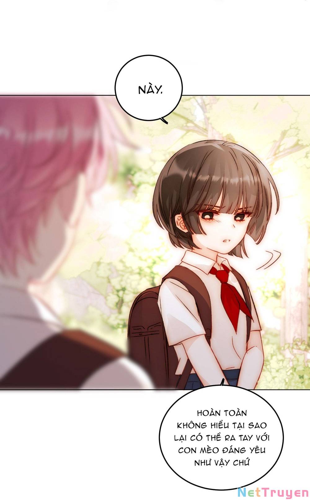 Tôi Phải Làm 1 Kẻ Đại Xấu Xa: Chapter 45