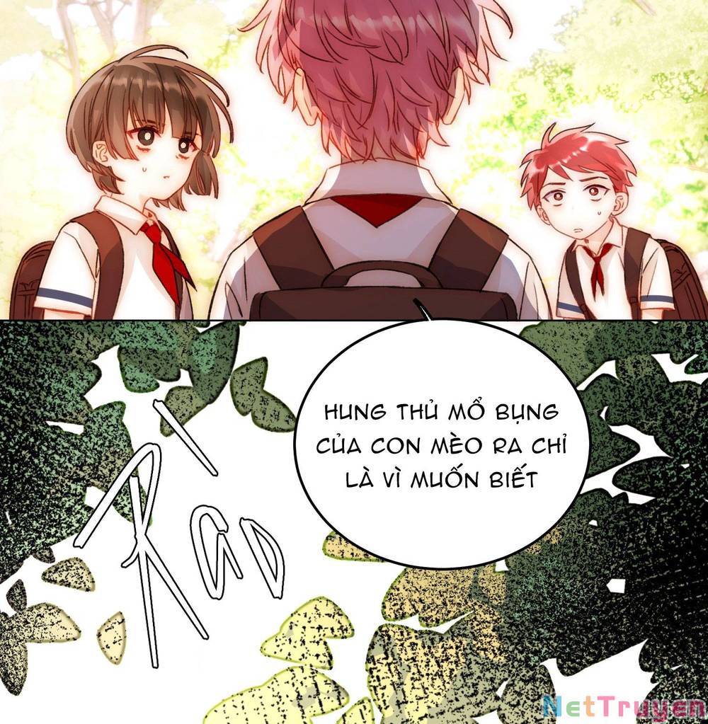 Tôi Phải Làm 1 Kẻ Đại Xấu Xa: Chapter 45