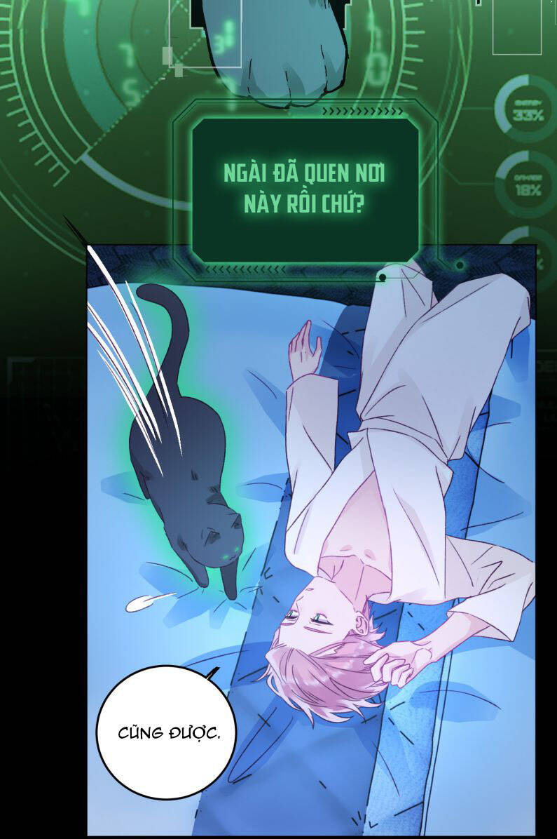Tôi Phải Làm 1 Kẻ Đại Xấu Xa: Chapter 47