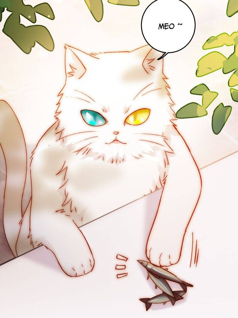 Tôi Phải Làm 1 Kẻ Đại Xấu Xa: Chapter 69
