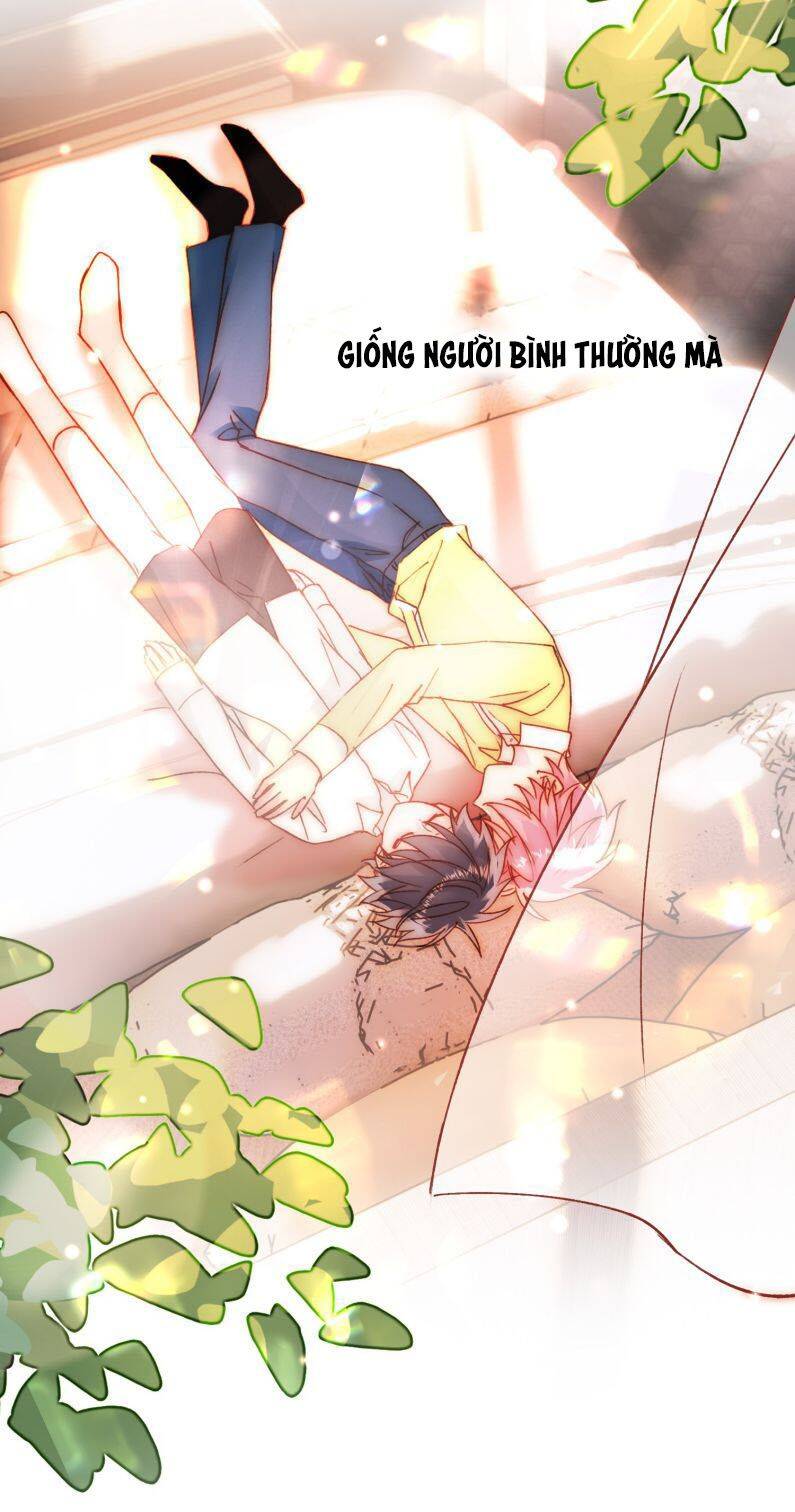 Tôi Phải Làm 1 Kẻ Đại Xấu Xa: Chapter 69