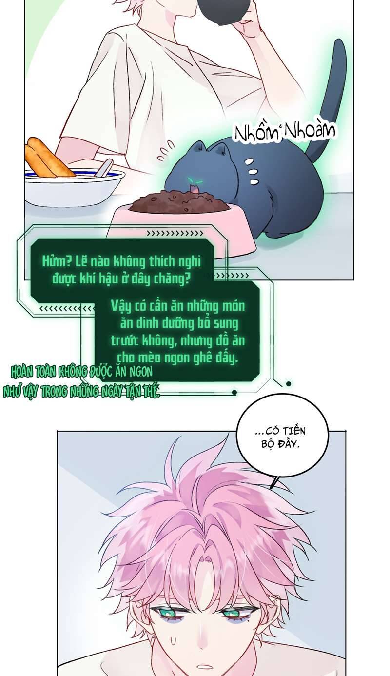 Tôi Phải Làm 1 Kẻ Đại Xấu Xa: Chapter 94