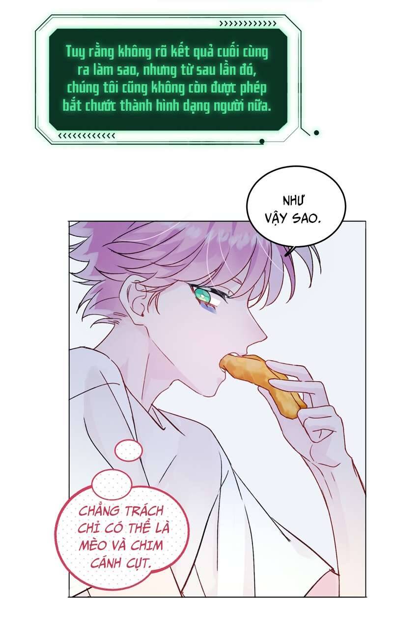 Tôi Phải Làm 1 Kẻ Đại Xấu Xa: Chapter 94