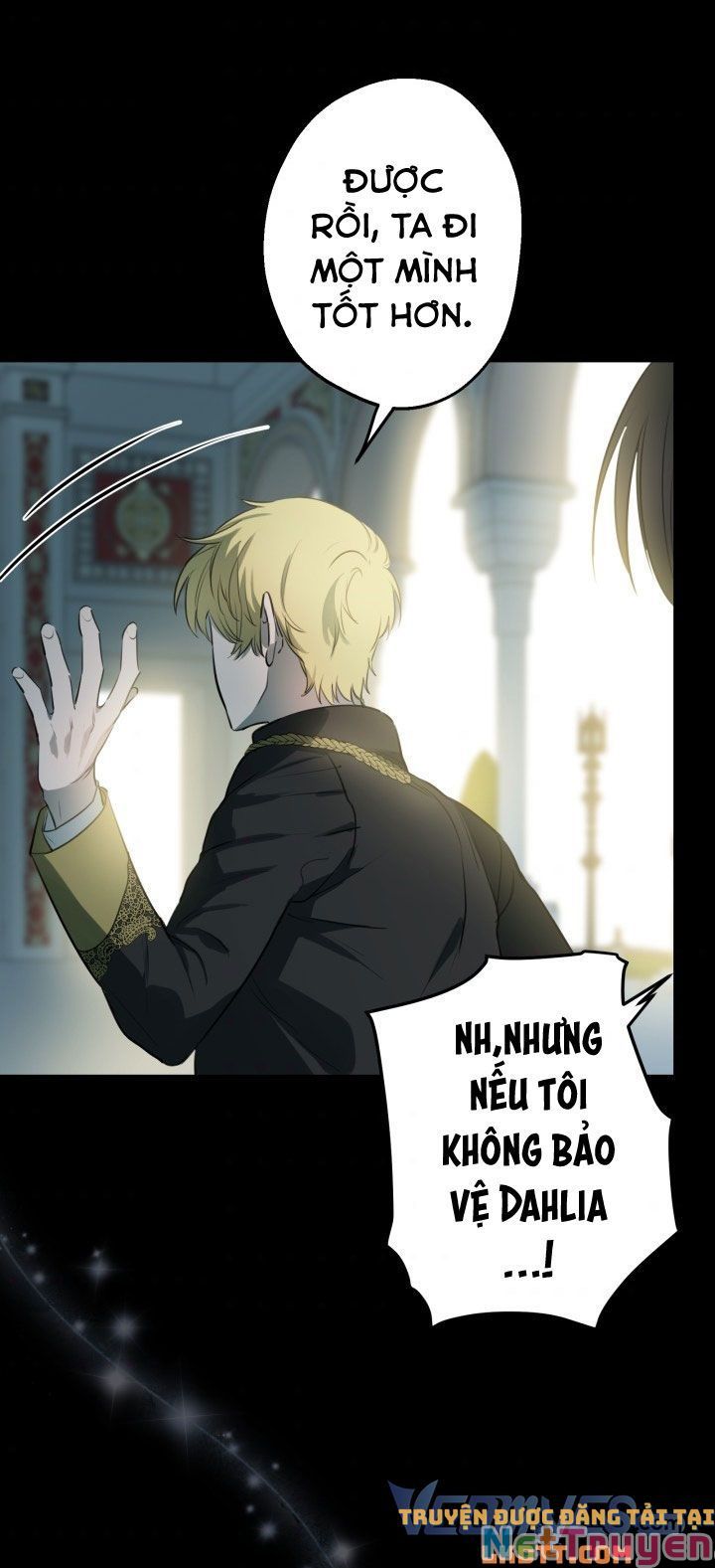 Những Kẻ Mạnh Nhất Thế Giới Đều Bám Lấy Tôi: Chapter 49
