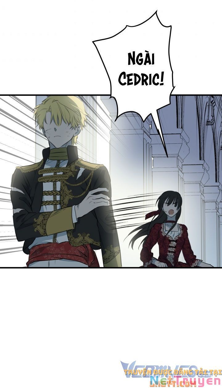 Những Kẻ Mạnh Nhất Thế Giới Đều Bám Lấy Tôi: Chapter 49