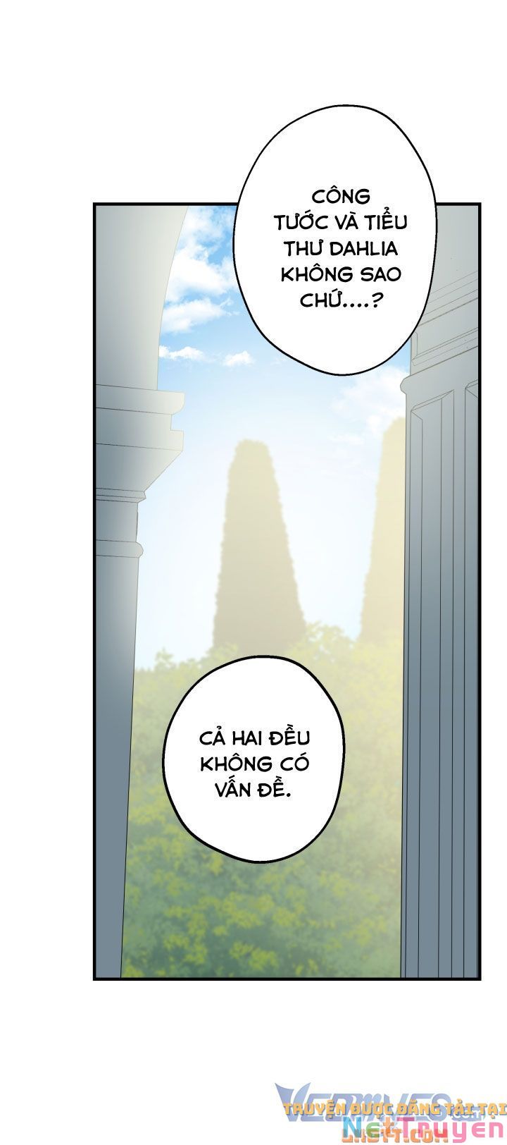 Những Kẻ Mạnh Nhất Thế Giới Đều Bám Lấy Tôi: Chapter 49