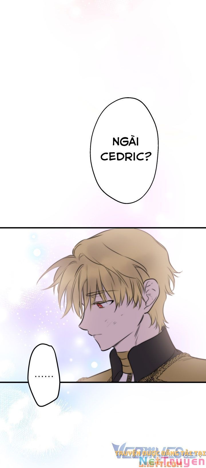 Những Kẻ Mạnh Nhất Thế Giới Đều Bám Lấy Tôi: Chapter 49