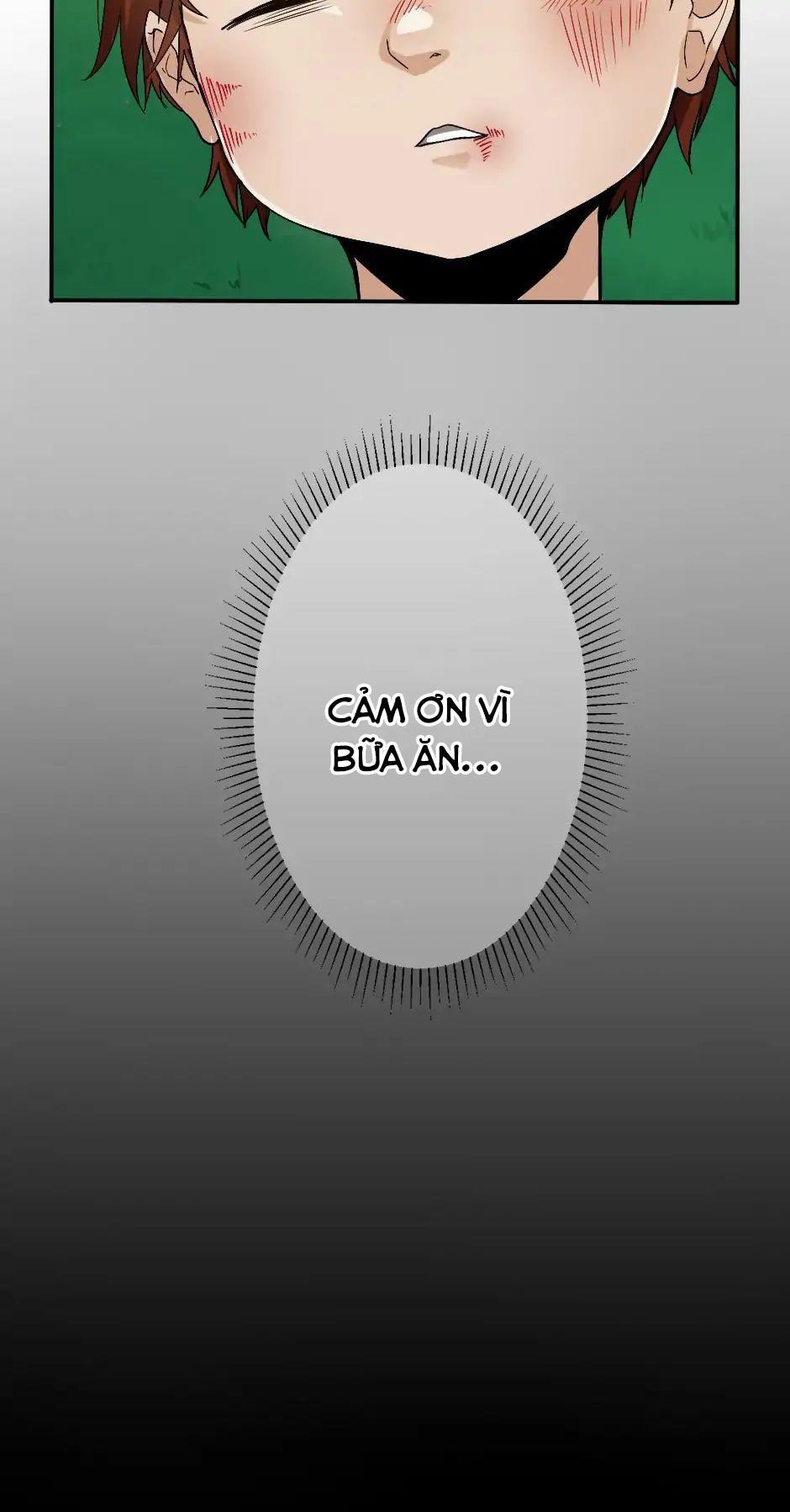 Ánh Sáng Cuối Con Đường: Chương 11