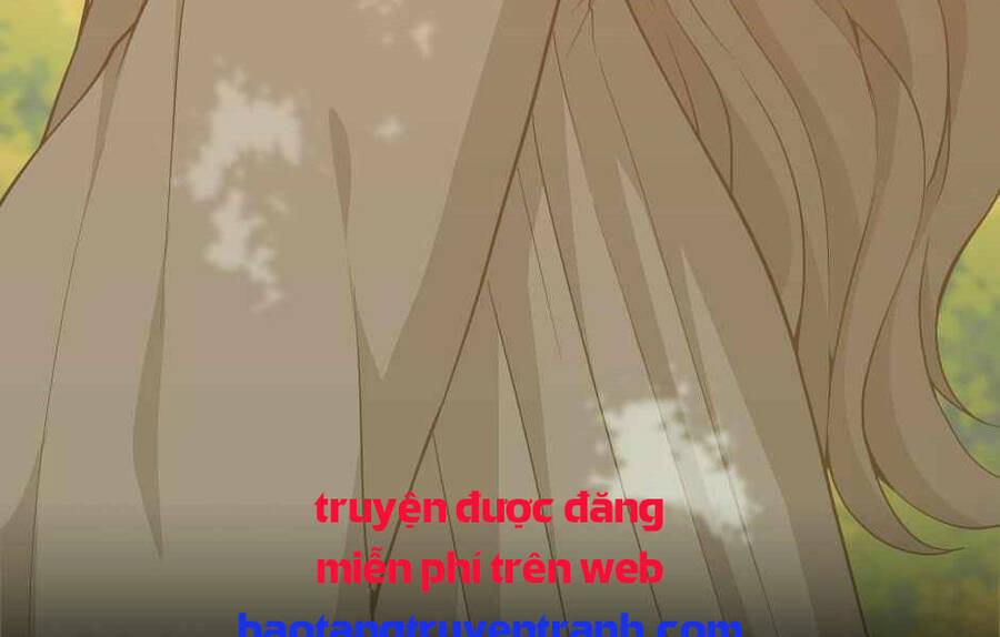 Ánh Sáng Cuối Con Đường: Chương 131